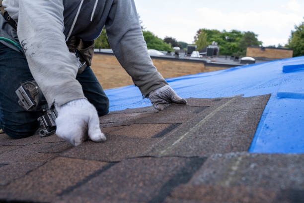 Best Roof Restoration Services  in Eleanor, WV