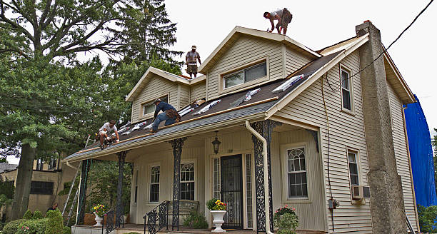 Best Storm Damage Roof Repair  in Eleanor, WV